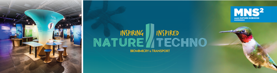 Biomimicry
