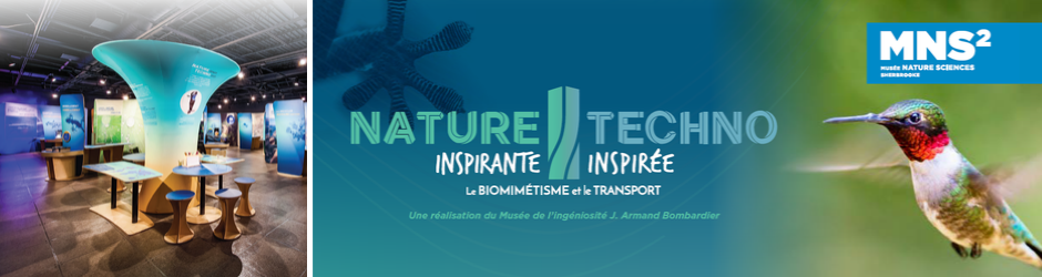 Biomimicry