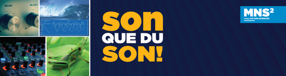 Son, que du son