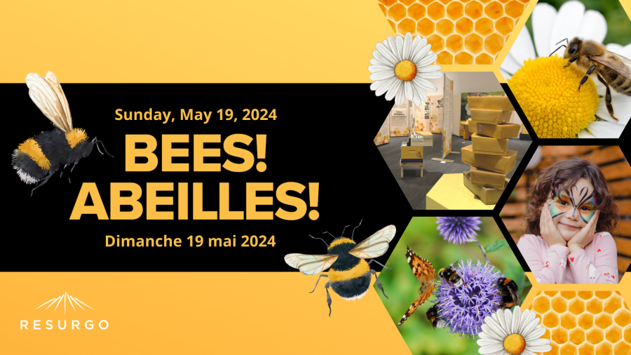 BEES event