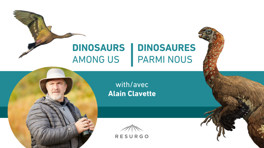 Alain Clavette