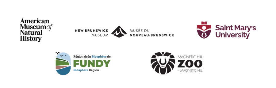 Dinos - Logos