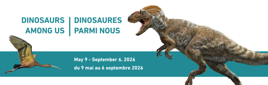 Dinos Among Us