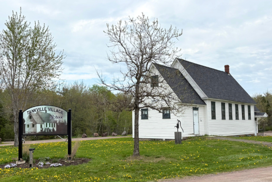 Tankville School